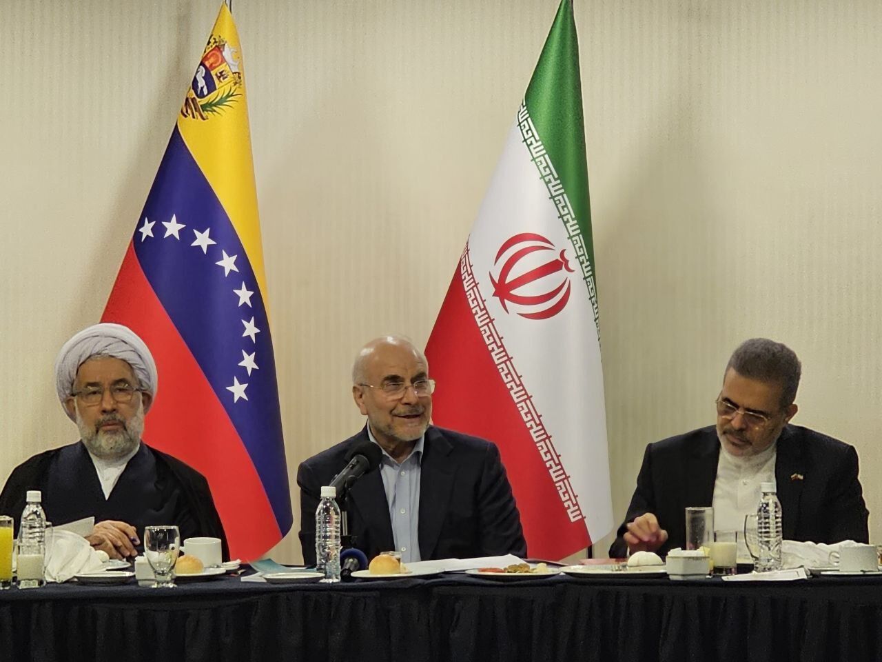 Iran will keep defending freedom-seeking nations: Parliament speaker