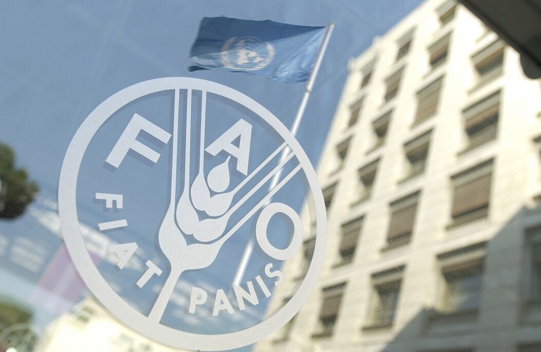 Iran’s voting right in FAO restored after 15 years
