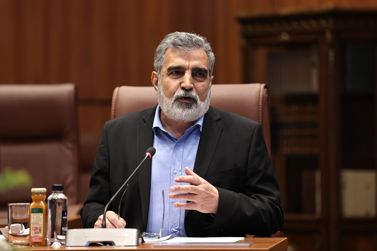Iran is not the only state enriching uranium without having nuclear arms: Official